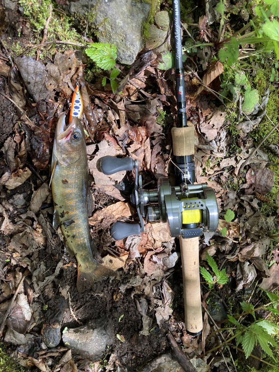 stupidxthc's tweet photo. 昨日は友人と木曽川漁協管轄の川へ行ってきました🎣
やっぱりゴールデンウィーク明けだと、魚も抜かれてるし、スレてるしでなかなかきびしかったでございました。でも、楽しかった😊
体はバキバキだけど…😫 https://t.co/4wkRlvzIst