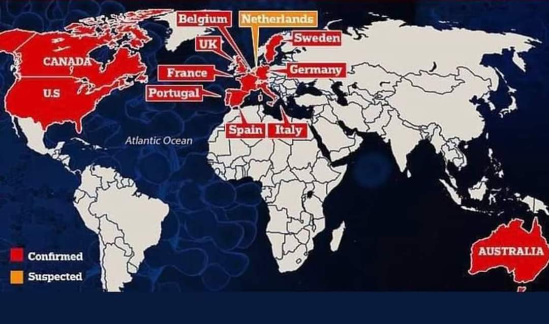 gerald_vinette's tweet photo. Les pays ou la variole du singe a été détectée..pas compliqué, tout les pays ou la pikouse fut imposée !!!! 🐒🐒🐒🐒 https://t.co/bIEKw1XBx0
