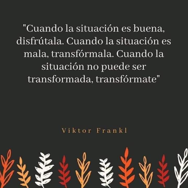 mprettov's tweet image. 