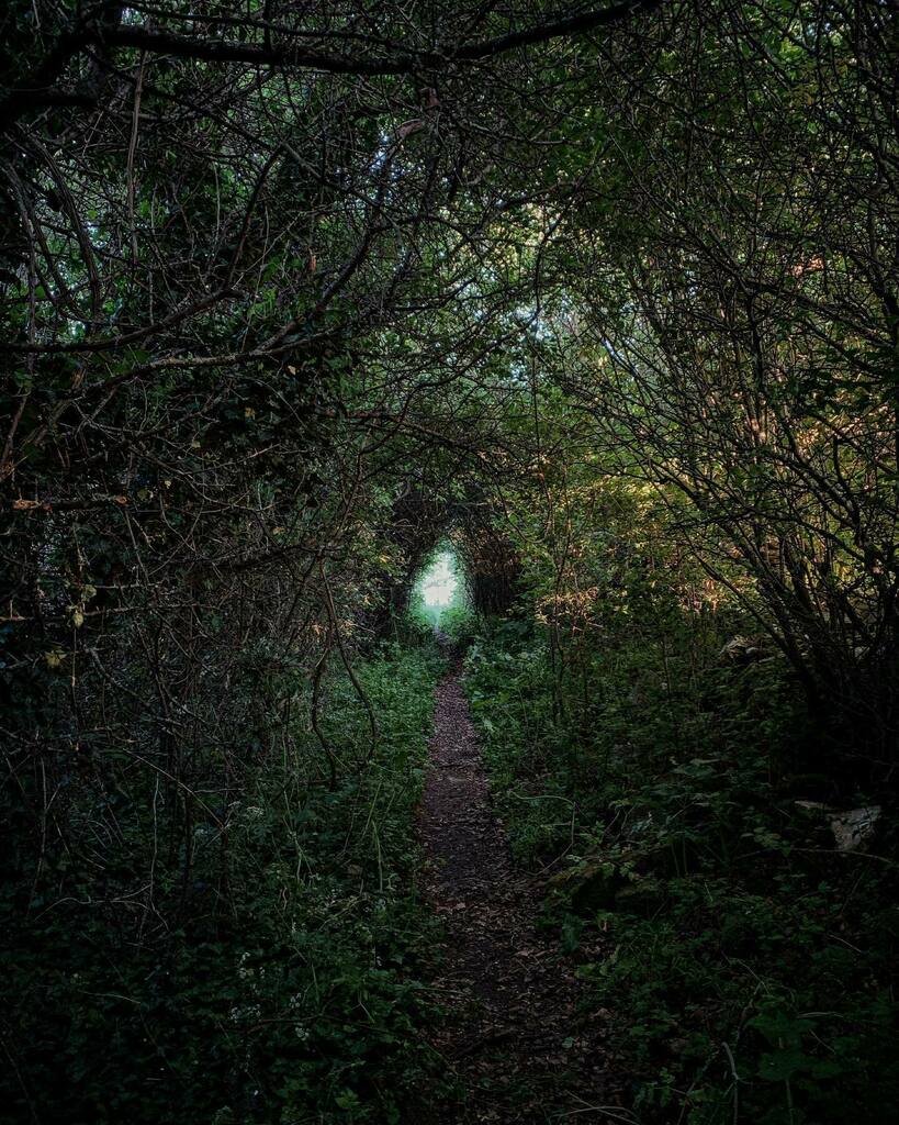 A magical evening stroll in the village 💚
#treelined #countrysideliving #boxvillage #home #sunsetwalk instagr.am/p/Cd4J-qvD7W6/