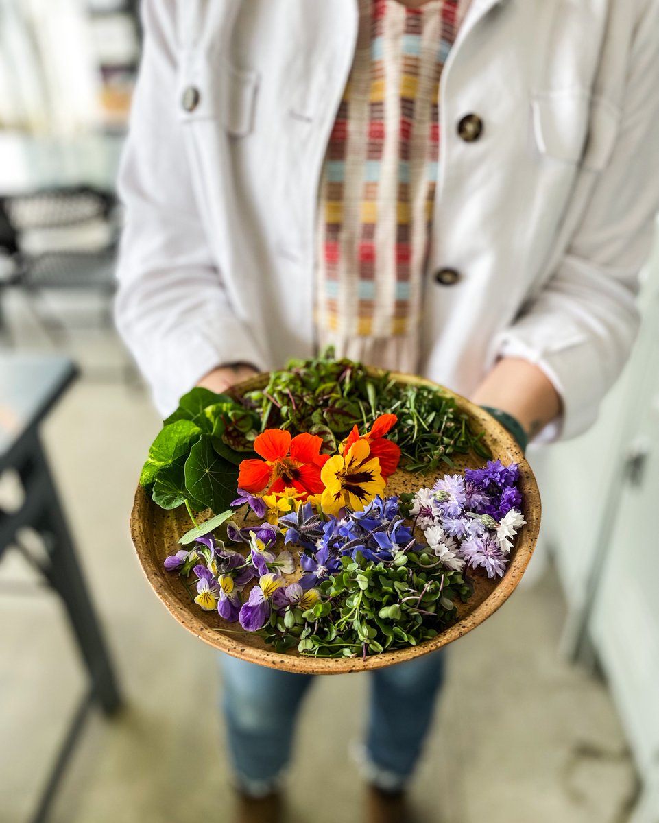 VerticalHarvest's tweet photo. An edible flower salad for #nationalsaladmonth 🌱

Tag us in all your salad creations!
#growingfoodandfutures #verticalharvestfarms #edibleflowers https://t.co/z9JnT6oMTO
