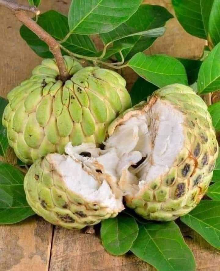 juanborrelli's tweet photo. ¿ En tú terruño cómo la llaman ? https://t.co/nfU9PsQW04