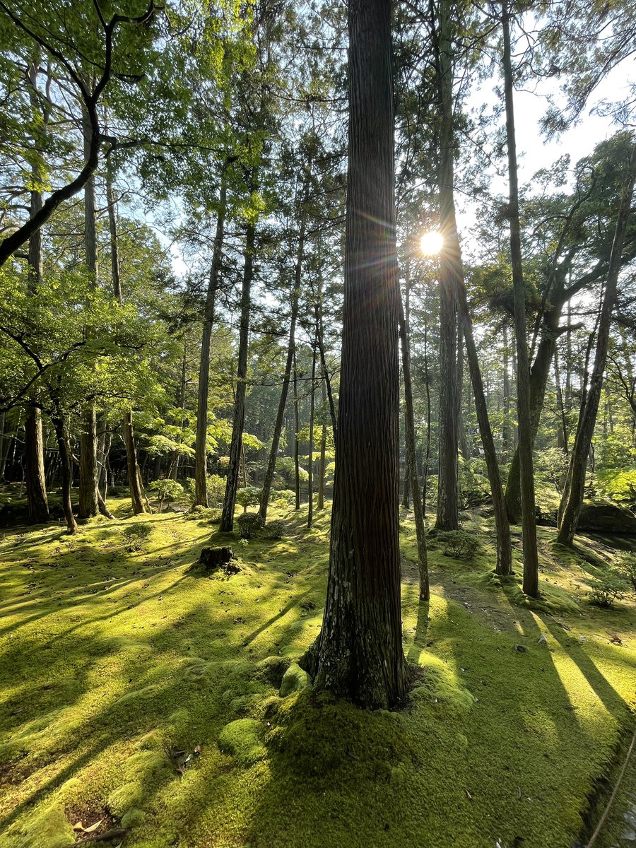 言葉の要らない朝。
今週も健やかに過ごせますように。