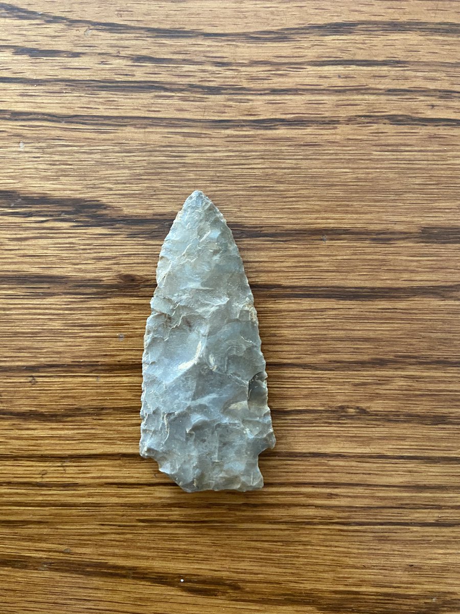 Found in the garden this morning