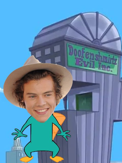 Neetz0818's tweet photo. Perry The Platypus Styles https://t.co/ojMuYe4as5