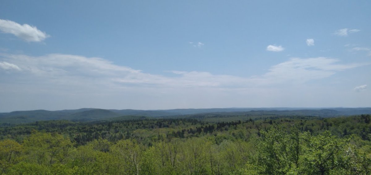 Anythinggoesvt's tweet image. Today in #Vermont #SupportVT