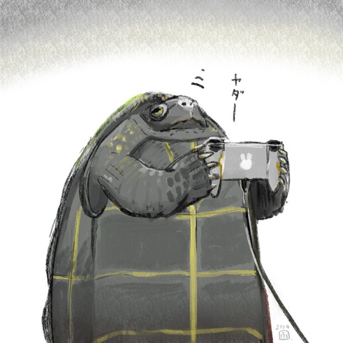 「世界亀の日」のTwitter画像/イラスト(新着))