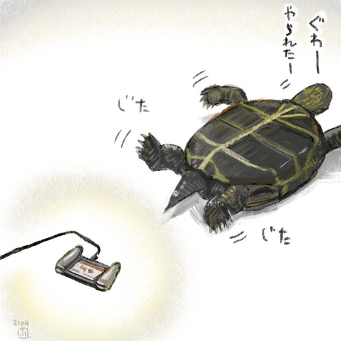「世界亀の日」のTwitter画像/イラスト(新着))