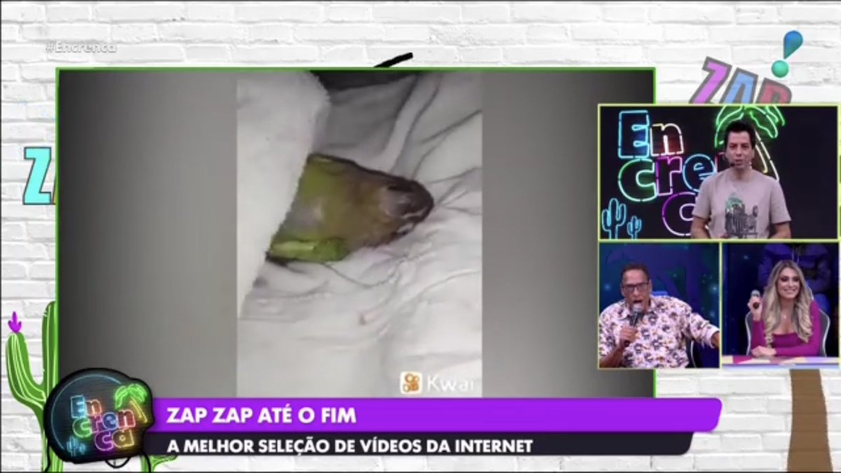 NewsRedeTV's tweet image. #Encrenca - #ZapZap