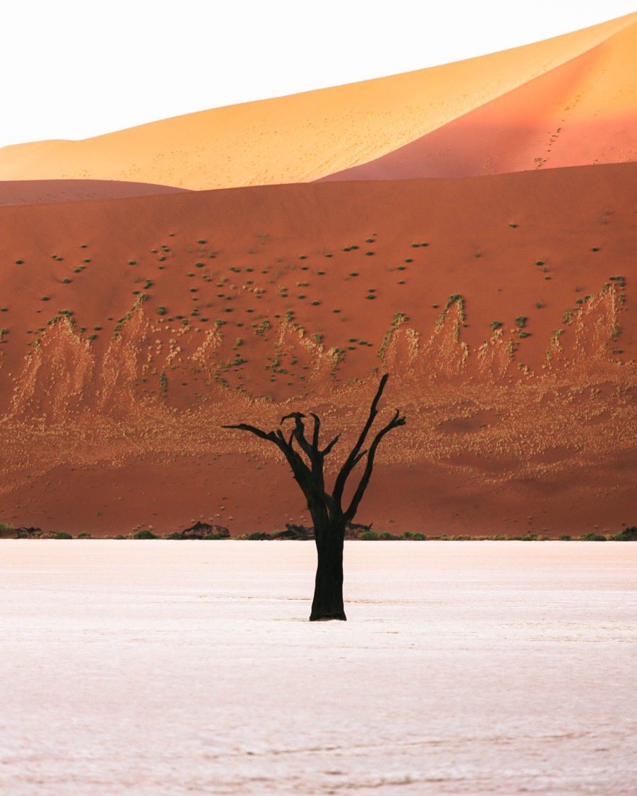 Solitude is now live! 
An edition of 45 at 0.08
This image was taken at Deadvlei in Namibia, a place i had been dreaming of going to. The uniqueness of this place truly left me speechless, these are the moments i'll treasure forever.
Link below