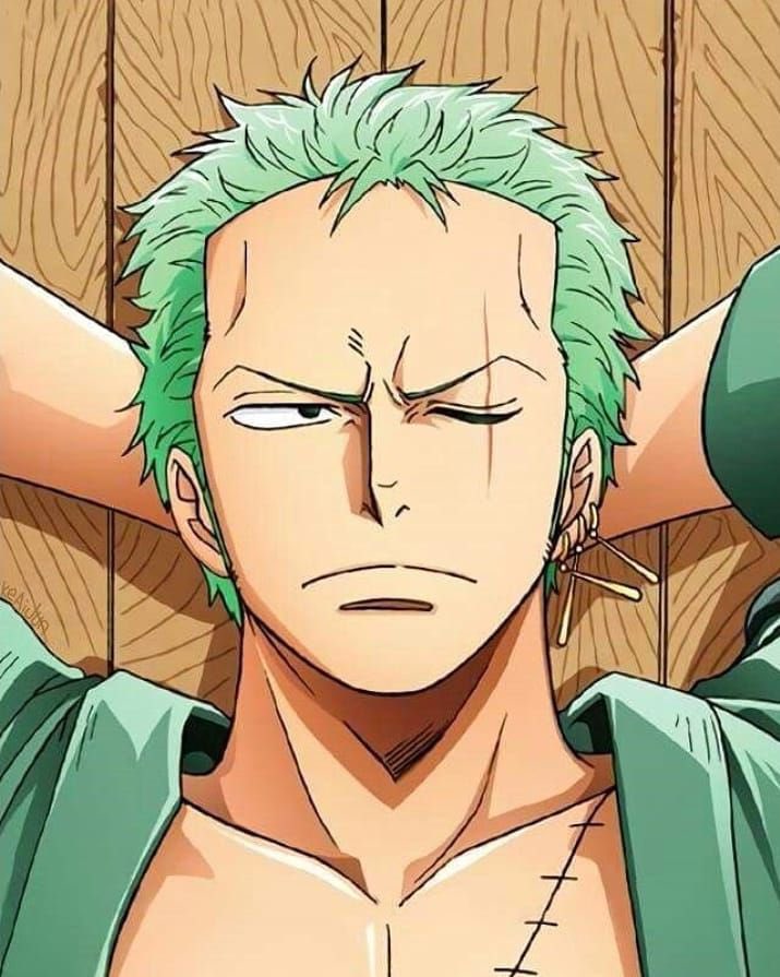 onepiece #roronoazoro #zoro #vinsmokesanji #sanji #anime