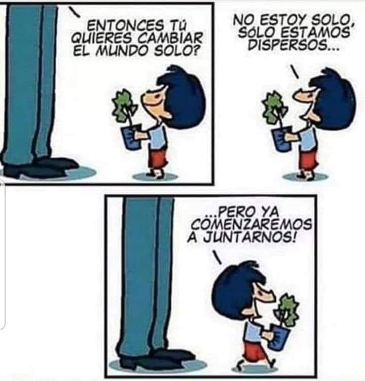 Cuanto más presionan, la unión se hace mas fuerte
<a href="/allvapemx/">Allvape MX</a> <a href="/provapeomexico/">Pro-Vapeo Mexico A.C.</a> <a href="/VapeoInformado/">VapeoInformado</a> <a href="/yosicreovapeo/">Yo sí creo en el Vapeo</a> <a href="/vapers_alliance/">World Vapers' Alliance</a> <a href="/TodayVaping/">Vaping Today</a>  <a href="/AsoVape/">AsoVape Colombia</a> <a href="/ardtiberoameric/">ARDT IBEROAMERICA</a> <a href="/ReldatLatam/">RELDAT</a> <a href="/UnidosXVapeo/">Unidos por el Vapeo</a> <a href="/regulemosvapeo/">Regulemos el vapeo ya</a> <a href="/ChecoBarrera/">Checo Barrera</a>  <a href="/Javierlatinovum/">Javier Latino.𝕏 ☣️</a> <a href="/ectorjaime/">Dr. Éctor Jaime</a> 
#ElVapeoUneVidas #RegulenYa