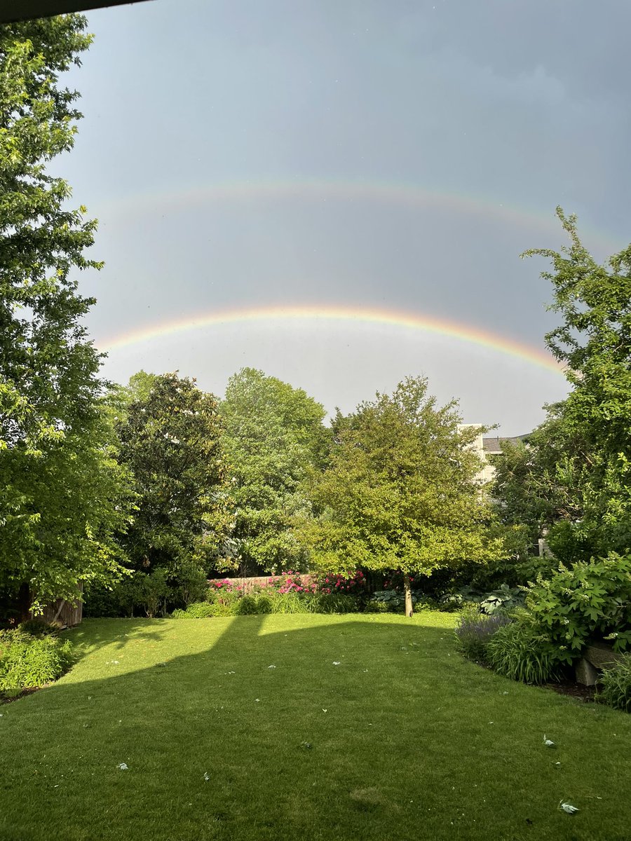 A little sunshine through the rain.