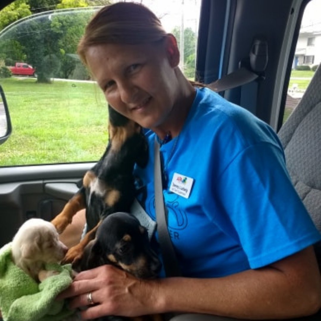 APAofMO's tweet photo. Our Transfer and Animal Care Manager, Tammy, recently celebrated 10 years with the APA! We are so thankful to have her on team, and we know that every pet who comes through our doors is grateful for her too! Thanks for all you do, Tammy!
#APA #APAMO #AdoptDontShop https://t.co/7YboQ1NMRe