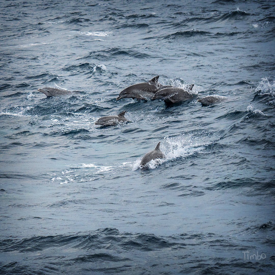 Sunday on the water with these beautiful souls. #Sydney #beautiful