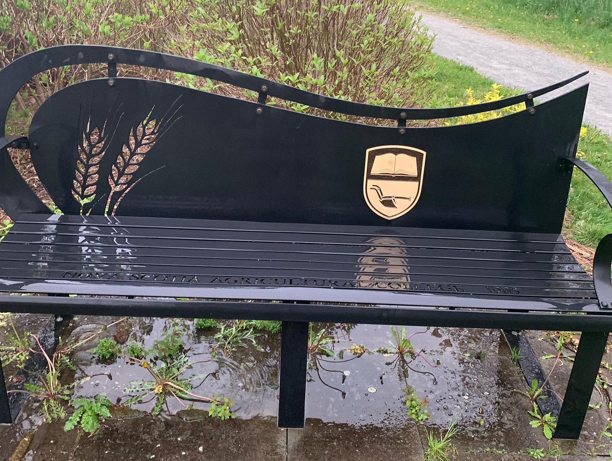 Dwane Mellish (@dwane_bh) on Twitter photo When #NSAC became <a href="/dalagriculture/">Dal Ag Campus</a> the Alumni dedicated a bench to remind all us our past. The bench is located in a prominent location on the Cobequid Trail on the river side of Jenkins Hall. This evening 2 of us Alumni took on a project to tidy up the bench. #before #after When #NSAC became <a href="/dalagriculture/">Dal Ag Campus</a> the Alumni dedicated a bench to remind all us our past. The bench is located in a prominent location on the Cobequid Trail on the river side of Jenkins Hall. This evening 2 of us Alumni took on a project to tidy up the bench. #before #after