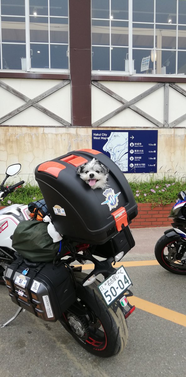 _bikersbrain_'s tweet photo. レストハウス駐車場の砂像
私、GATE好き!
#2022SSTR
伊丹になりたいオッサンでした。 https://t.co/tmvLNTK6OP
