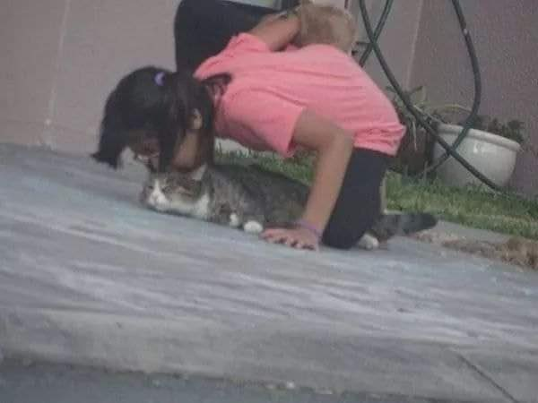 nadie: 

yo cada vez que voy a casa de alguien que tiene mascota: