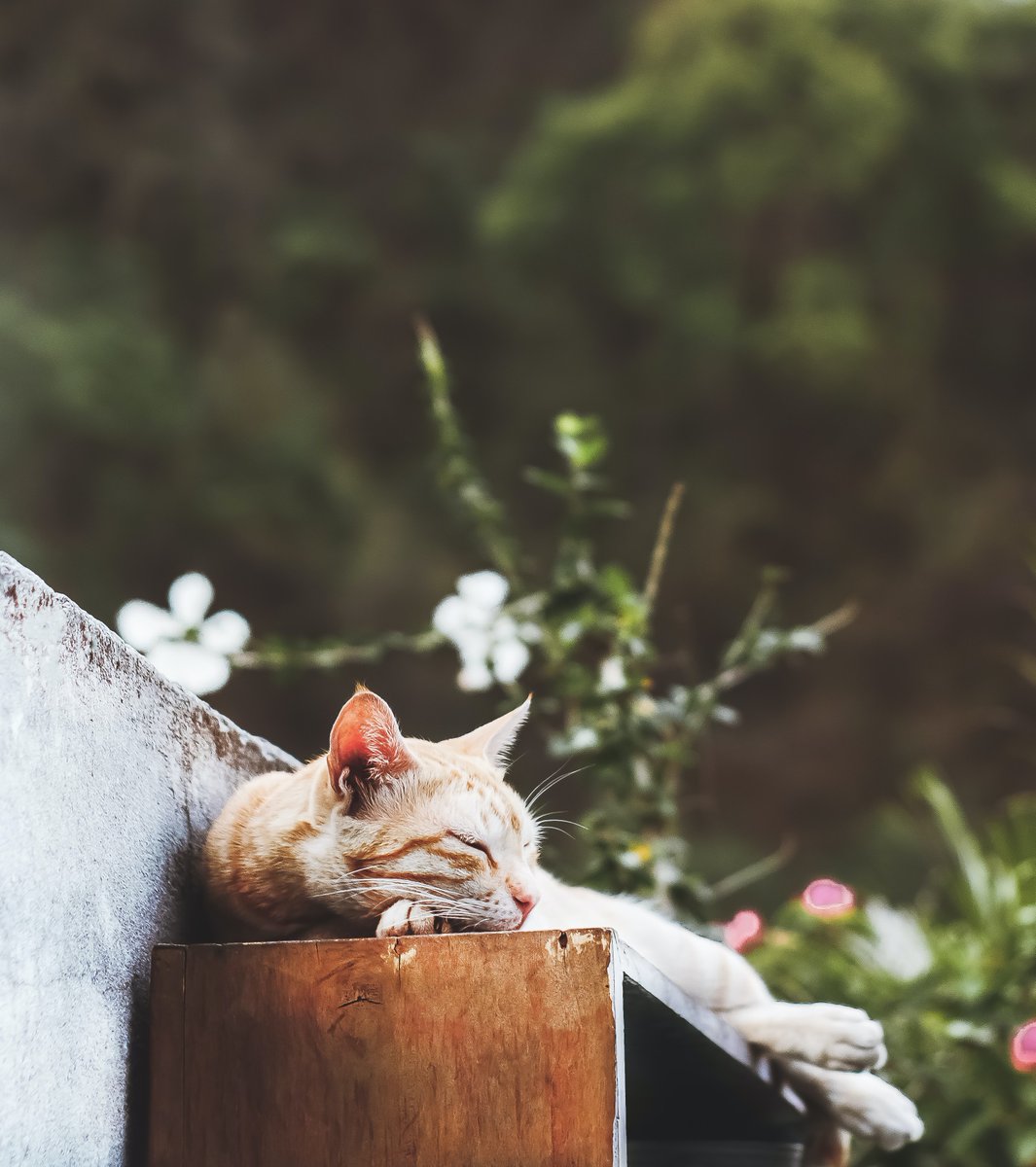 mind3web3's tweet photo. Wishing a great weekend. Rest is best.
#peaceofmind #NFTCommunity https://t.co/WETXWWnNlG