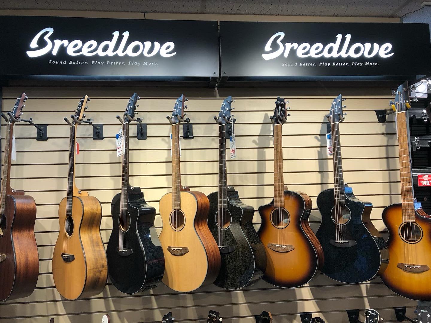 Breedlove Guitars Breedloveguitar Twitter