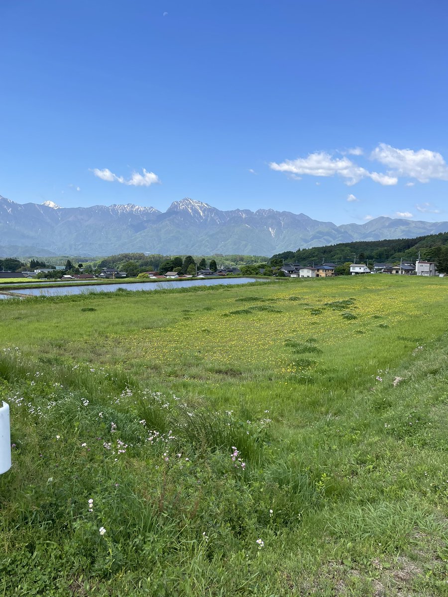 webadviser's tweet photo. のどか。。 https://t.co/yAcUjtjr3V