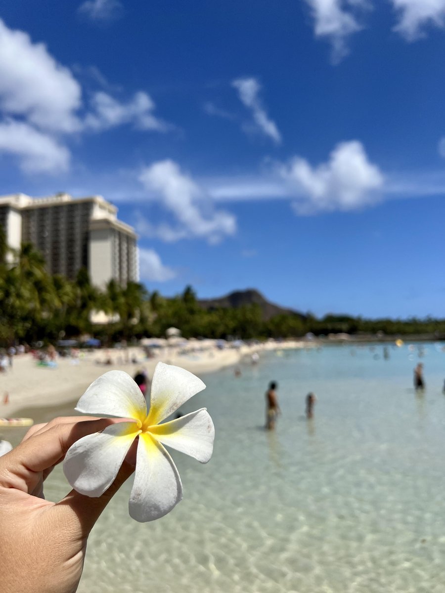 Lealea Hawaii Auf Twitter ハワイ からおはようございます 本日もステキな一日になりますように ハワイ好きな人繋がりたい ハワイ旅行 ハワイ大好き ダイヤモンドヘッド ワイキキ ワイキキビーチ プルメリア Hawaii T Co Stuiaz5ifb Twitter