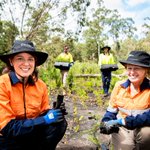 For 20+ yrs Vic CMAs have been protecting landscapes &amp; supporting  communities. The Vic 2020-21 CMAs’ Action &amp; Achievements Report highlights this work. 
 
https://t.co/owIF2VTsjM

#CMAsGetItDone 

@LisanevilleMP @LilyDAmbrosioMP @DELWP_Vic @AusLandcare 