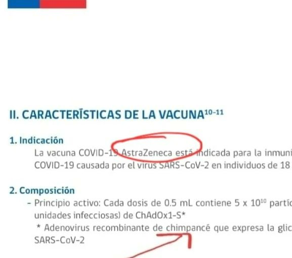 carayarez2021's tweet photo. @medinalorca @SalvadorPuccio @tvc_chile  Qué Rápido se Propagan los #Virus de Un Continente a Otro✈️ o Será que Vienen en Las #Vqnas 💉 #Oxford #AstraZeneca #MataEstrellas #Vqna #VectorViral Elaborada Con #Adenovirus de #Chimpance 🐵 #ViruelaDelMono 🐒 en #Europa 🇪🇺y #Argentina🇦🇷 https://t.co/ZYAXDLuXZx