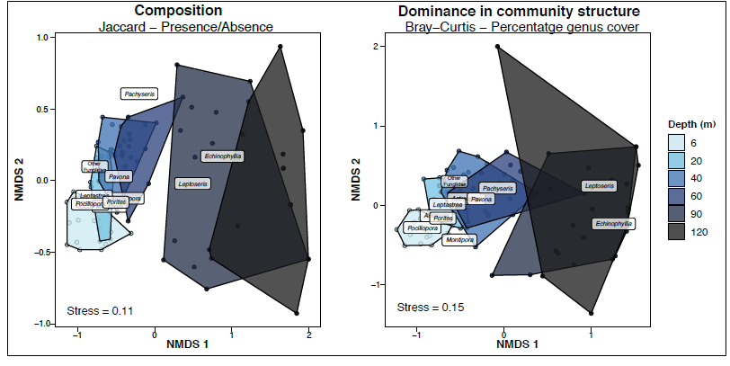 A deep coral expedition in French Polynesia found that Mesophotic Coral Ecosystems host higher coral generic richness & spatial diversity than shallow reefs, despite decreasing coral cover with depth @Perez_Rosales_G @laetitiahedouin @UnderThePole  @CNRS onlinelibrary.wiley.com/doi/10.1111/dd…