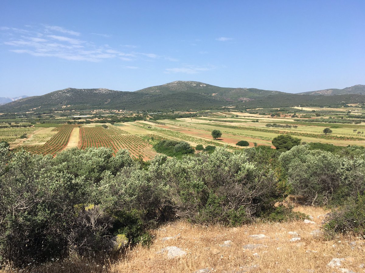 DanukePort's tweet image. Just finished counts in my common bird census plot @ornithologiki which will contribute to the #PECBMS #_EBCC data!  Black-headed Bunting doesn’t seem to breed here any more…