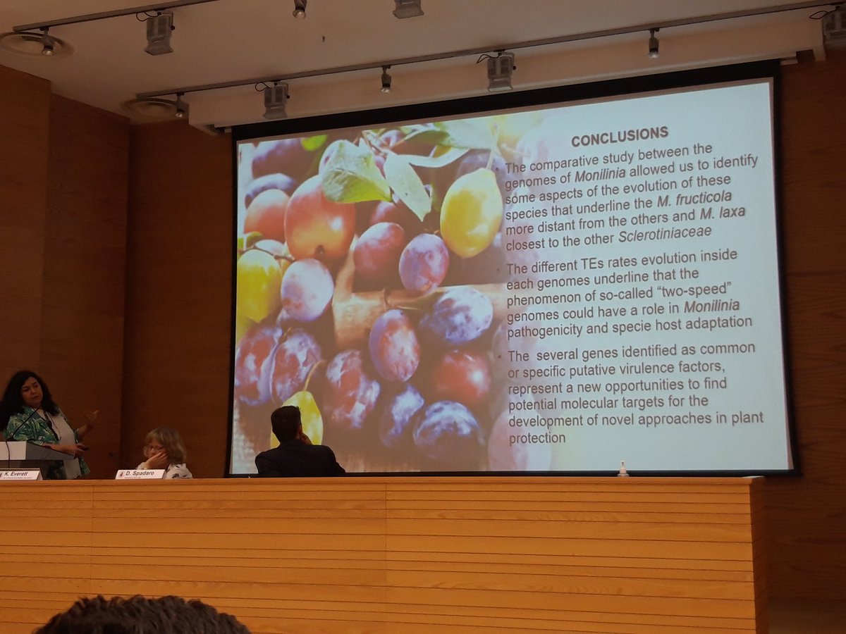 GianfRomanazzi's tweet photo. #LuciaLandi highlights #genetic #variability and #evolution of three #Monilinia #species agents of #brownrot of #stone #fruit, developed also thanks to #PRIMA #StopMedWaste #project https://t.co/FzTLp74VDO