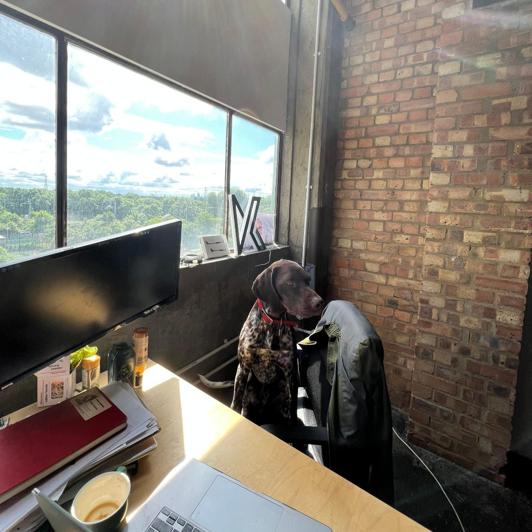 PurposeLDN tweet media