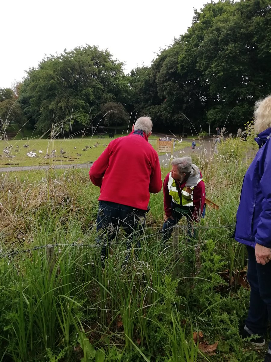 Sandall Park tweet media