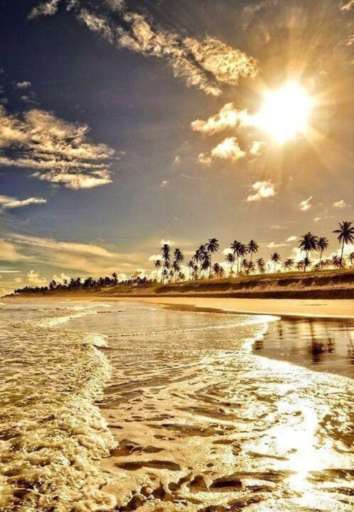 arkanl_neriman's tweet photo. 💛💛

  Happy Monday..
  #NaturePhotography 💛🧡🖤 https://t.co/Y3mrWxZH2y