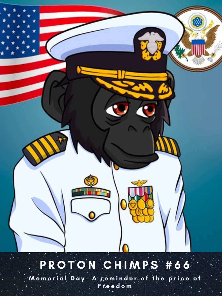 ℙroton Chimps ⚛️ tweet media