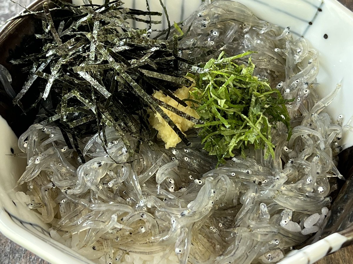 YuichirouButter's tweet photo. 湘南にある「しらすや」でしらす丼食べました。取れたてのしらす。
#しらすや #しらす丼 #湘南 https://t.co/SMleA9TOzc
