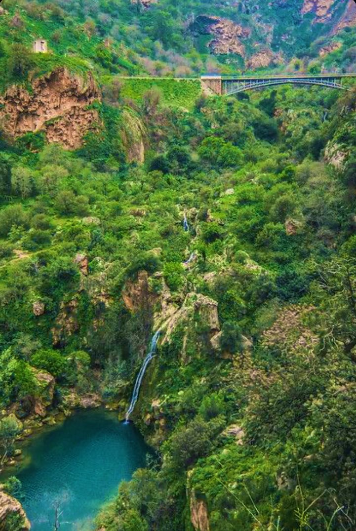 Algrien28694512's tweet photo. Cascade d’el -Ourit  TLEMCEN 🇩🇿🌊#Welcome_to_Algeria #JMOran2022 #وهران_في_القلب 🇩🇿🌿🌊🌱 https://t.co/kSQvcku4XW