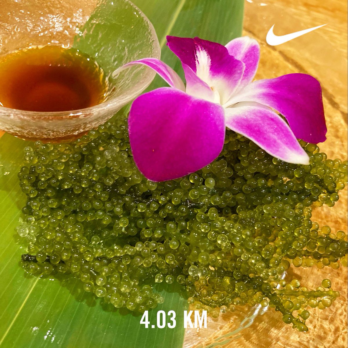 Ellie_staygold's tweet photo. ぷちぷち海ぶどう
美味し💚
#Ellie通信
#nike #joggingandwalking 🏃♀️ https://t.co/pVrcKmKG8e