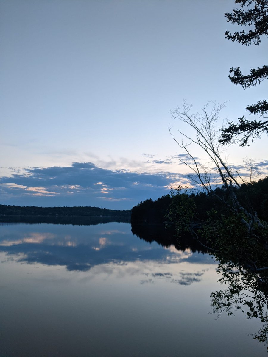 LorellaHayes's tweet photo. Day#1   #CAMHSunriseChallenge

https://t.co/CSNL7lMOAo https://t.co/ThEqdPLmWS