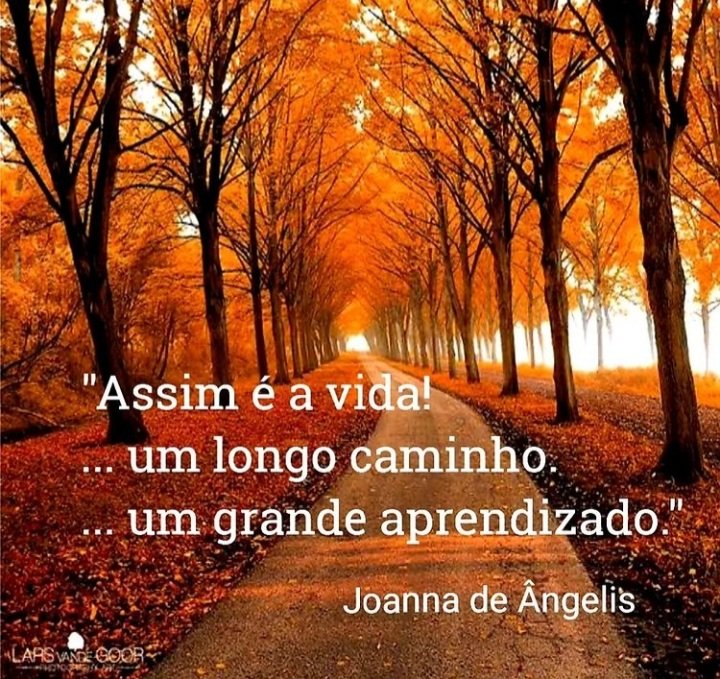 Rosana Pires🇧🇷🇧🇷 on Twitter: Rosana Pires🇧🇷🇧🇷 on Twitter: