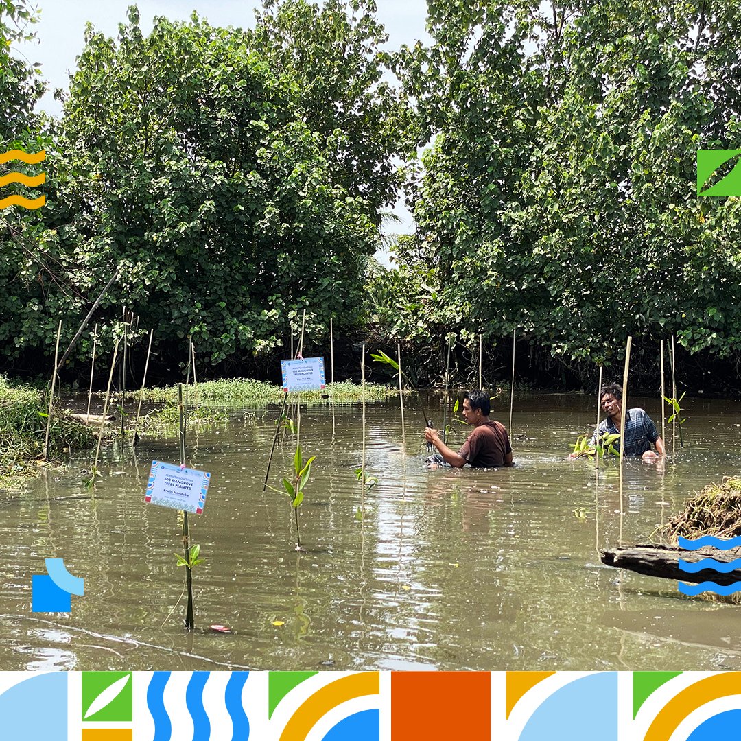 aseanfoundation's tweet photo. The teams of #ASEANYCLP have been implementing their projects with the assistance of their mentors and planted a total of 500 mangrove trees with the help of @yagasuaceh!

Thank you mentors of ASEAN YCLP!

#ASEANYCLP #SAP4GOOD https://t.co/PF933GXcbO