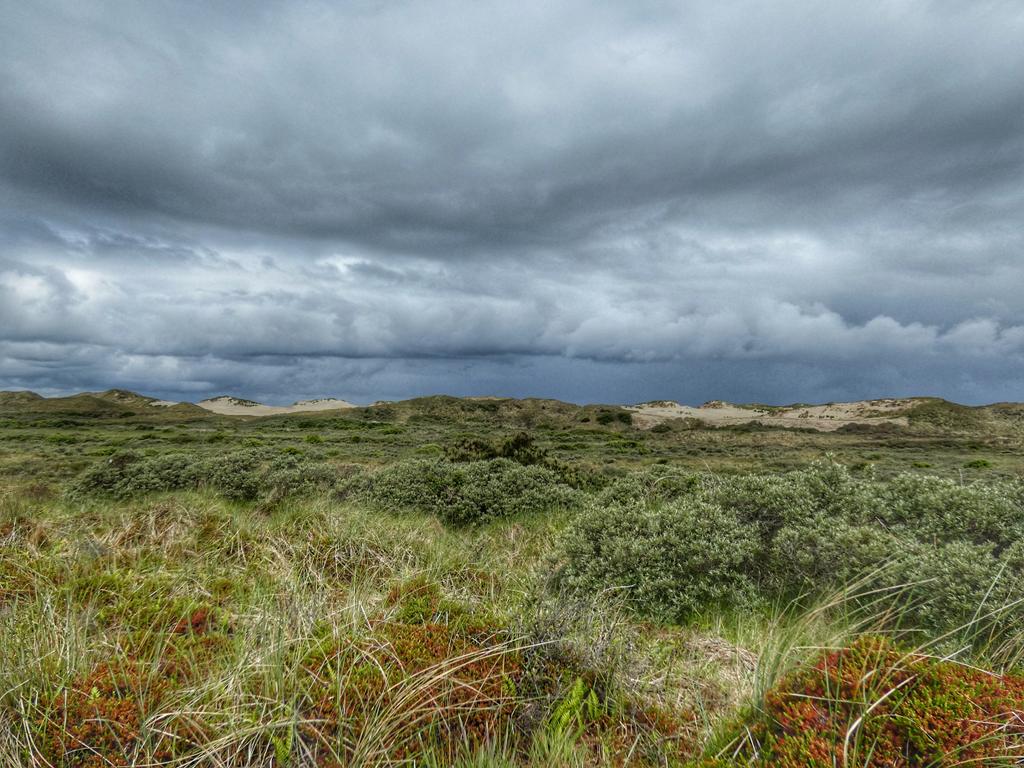 BoswchtrAnnoTS's tweet photo. Ah jah check! Regenjas maar weer in de tas doen 😂 #natpak #Terschelling @WilliamHuizinga @mrmiddendorp @MarcdeJongRTL @nicolienkroon @weermanreinier @BuienRadarNL https://t.co/iRY9uag6Fp