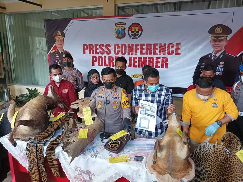 gardaanimalia's tweet image. Perajin Spesialis Bahan Baku Satwa Dilindungi Diciduk Polisi #harimau #kerajinantangan #kijang #macantutul #rusa

gardaanimalia.com/perajin-spesia…