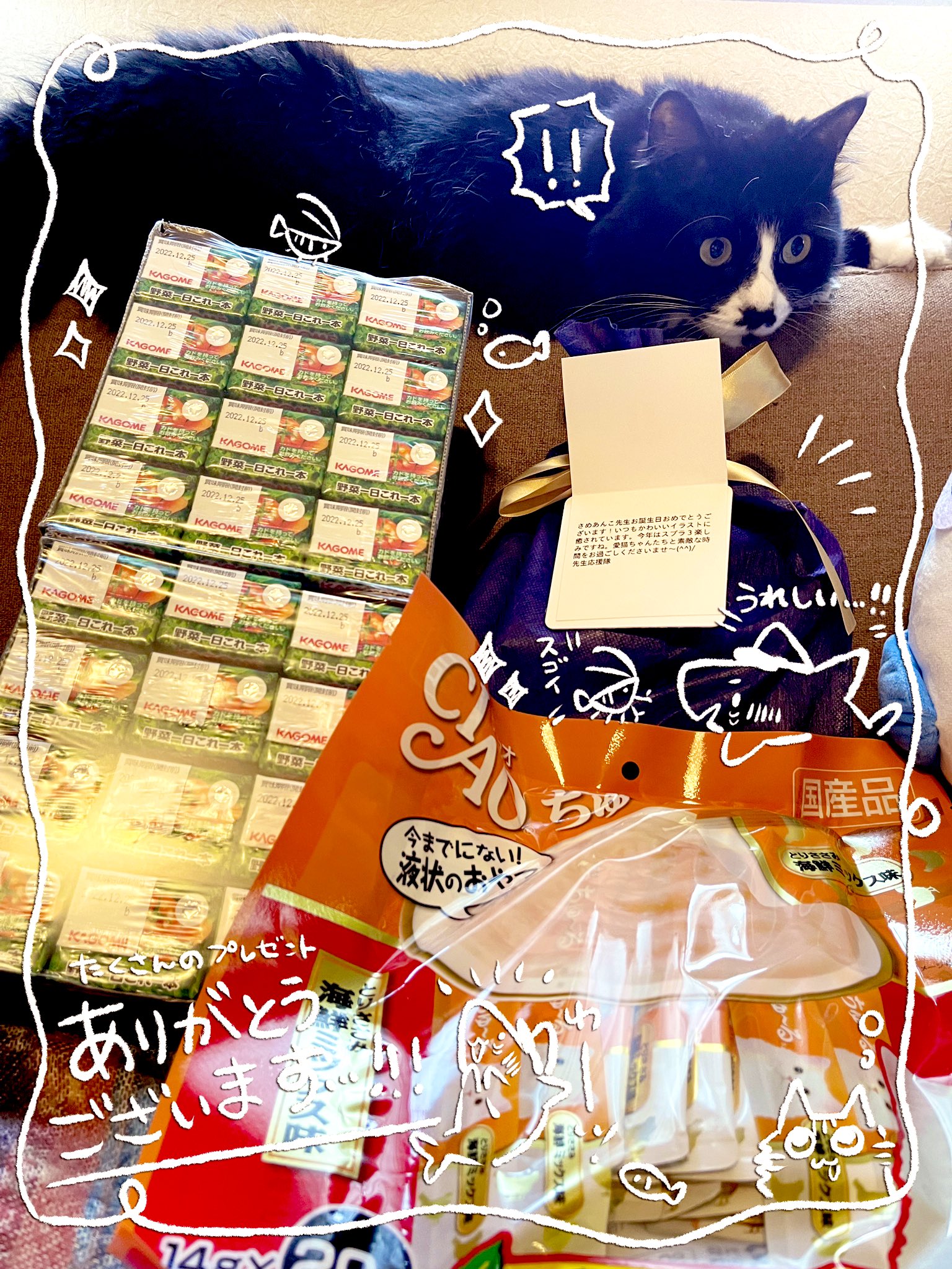 さめあんこ Amazonのほしい物リストから誕生日プレゼントで野菜ジュース Ciaoちゅーる 入浴剤届きました 応援隊さん 沢山送っていただきありがとうございます 猫達も喜んでます 明日はいい誕生日になりそうです T Co