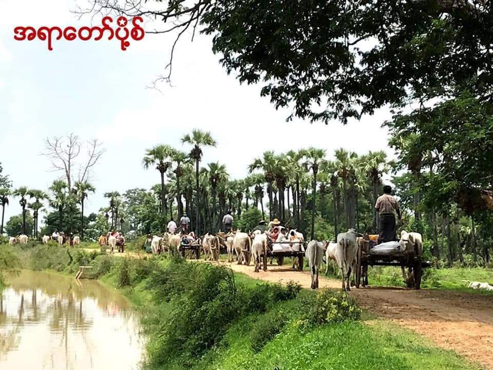 These photos show the fleeing of residents as junta soldiers launched an offensive and shelled artilleries in Hinthar and Lainhla village, northern Ayartaw tsp. #2022May30Coup  #WhatsHappeningInMyanmar
#WarCrimesOfJunta