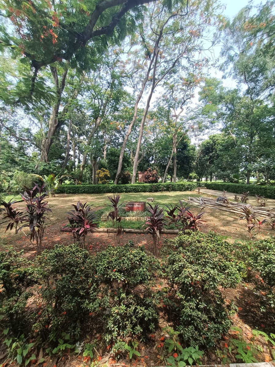 TTFeatures tweet media