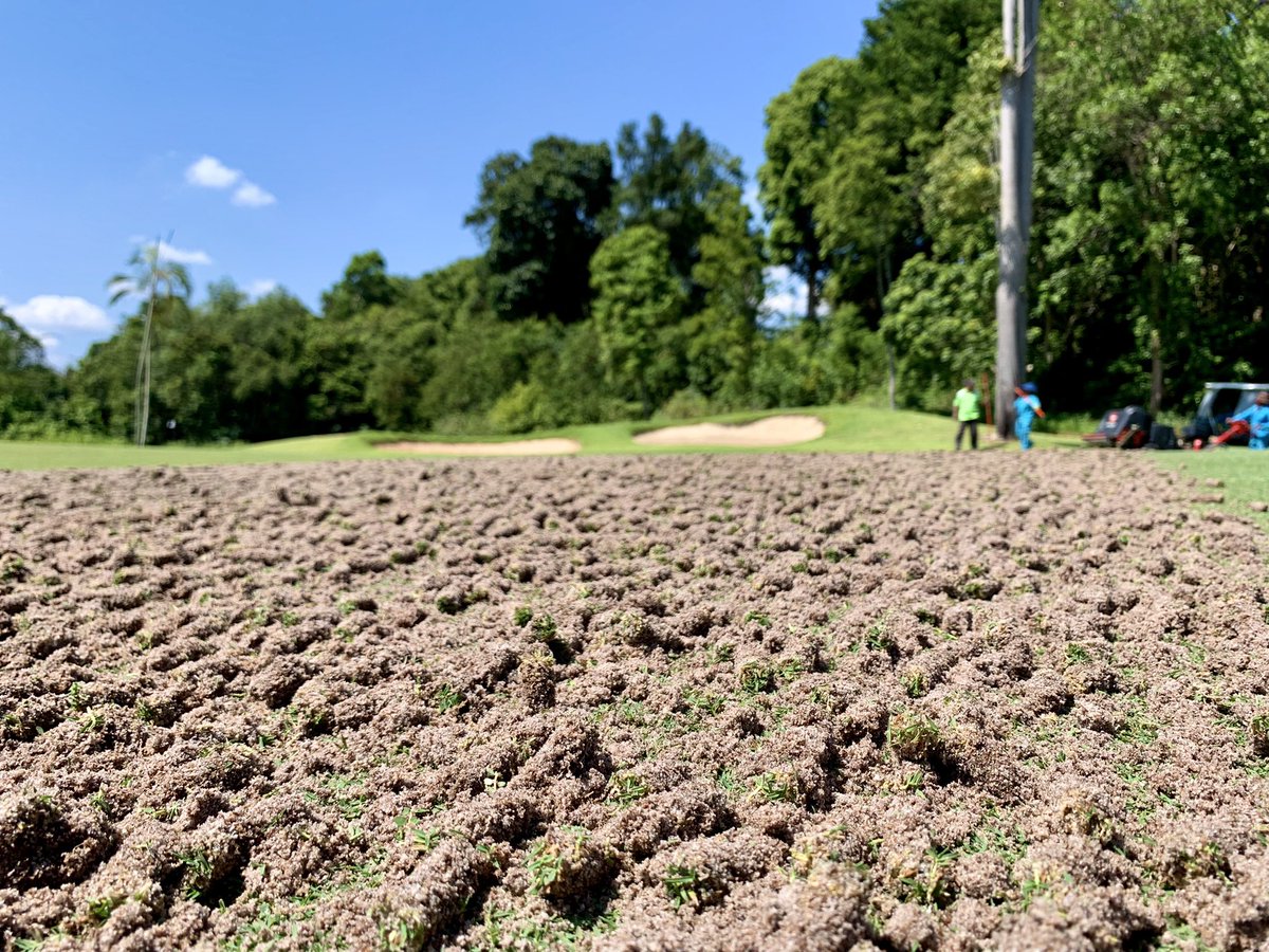 Laguna Golf Bintan tweet media