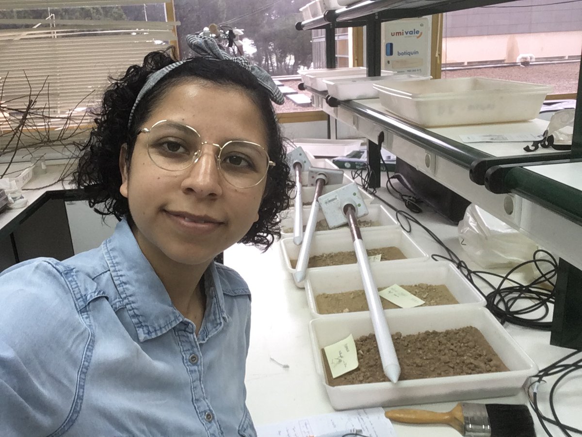 iiama_upv's tweet photo. 👉En #CatedrasIIAMA compartimos la entrevista a 👩🎓@DarianaAvila77 , ganadora de la II Edición de los #PremiosCatPlaneta🌍.
😃Su #TFM aborda las relaciones entre la elevación, la humedad superficial del suelo y la vegetación en la Península Ibérica.
👩🎓 https://t.co/NSWH8pLoyW https://t.co/e3bY0ujQRe