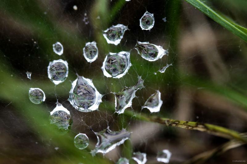 Gareth Lennox tweet media