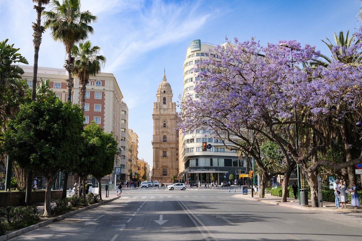 Fujifilm X-thusiast tweet media